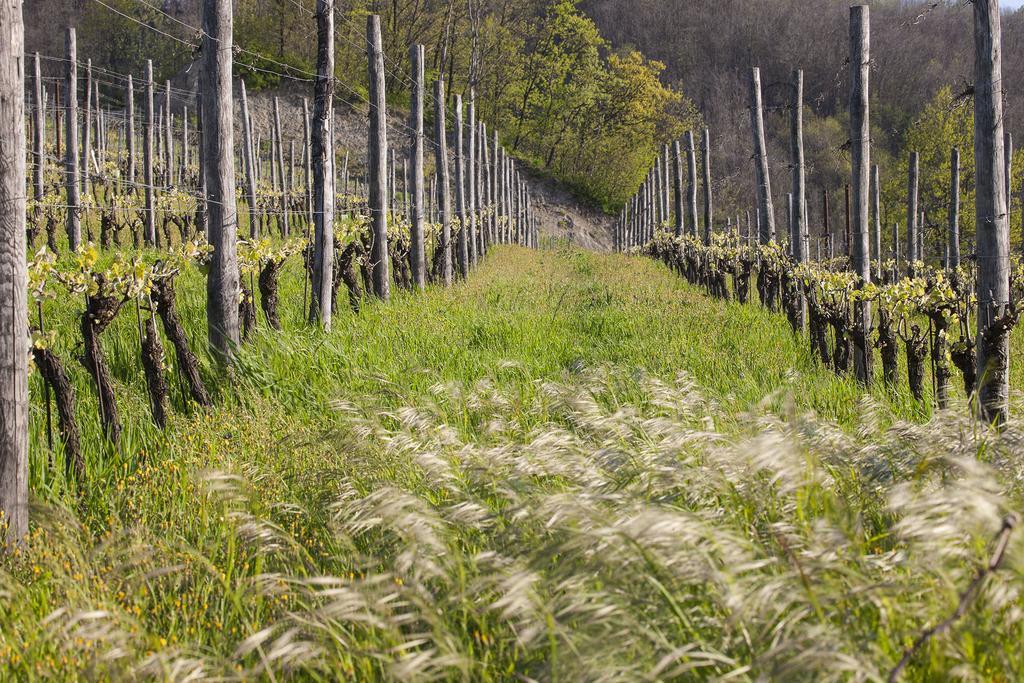 I Tre Poggi Dimora Di Charme Villa Canelli Bagian luar foto