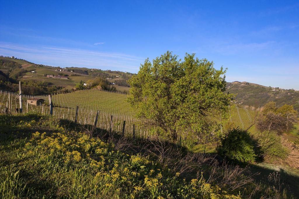 I Tre Poggi Dimora Di Charme Villa Canelli Bagian luar foto