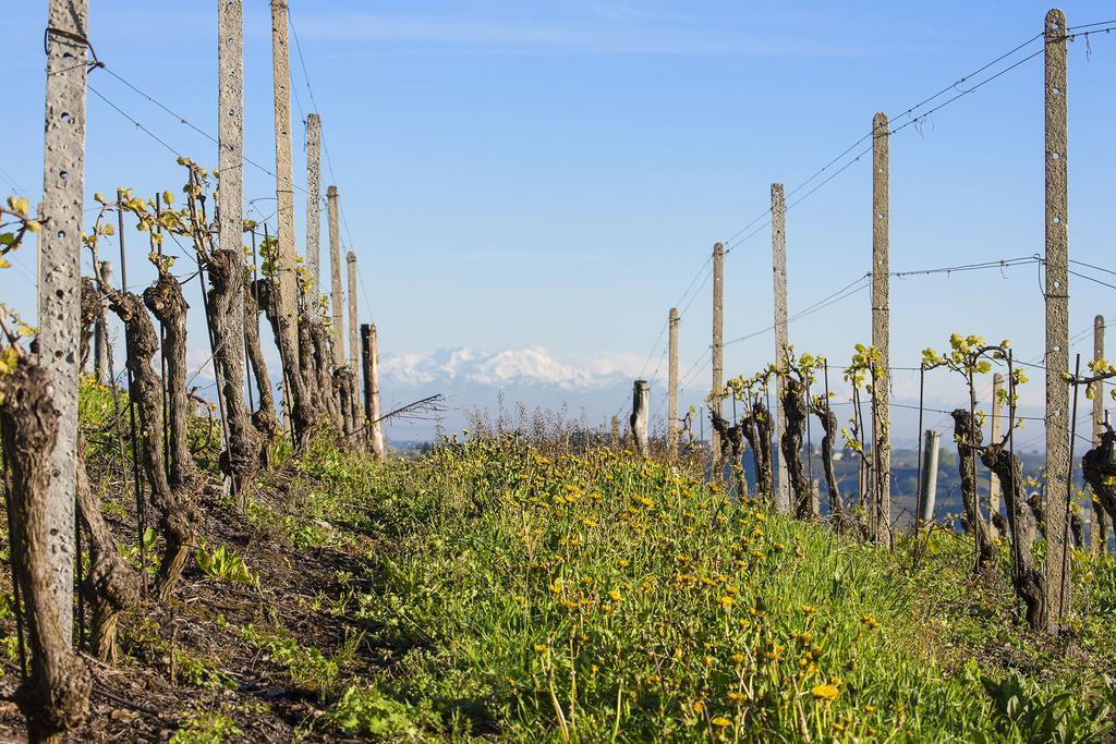 I Tre Poggi Dimora Di Charme Villa Canelli Bagian luar foto